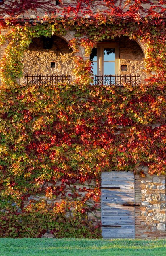 Relais Sant'Elena Bed & Breakfast Bibbona Bagian luar foto