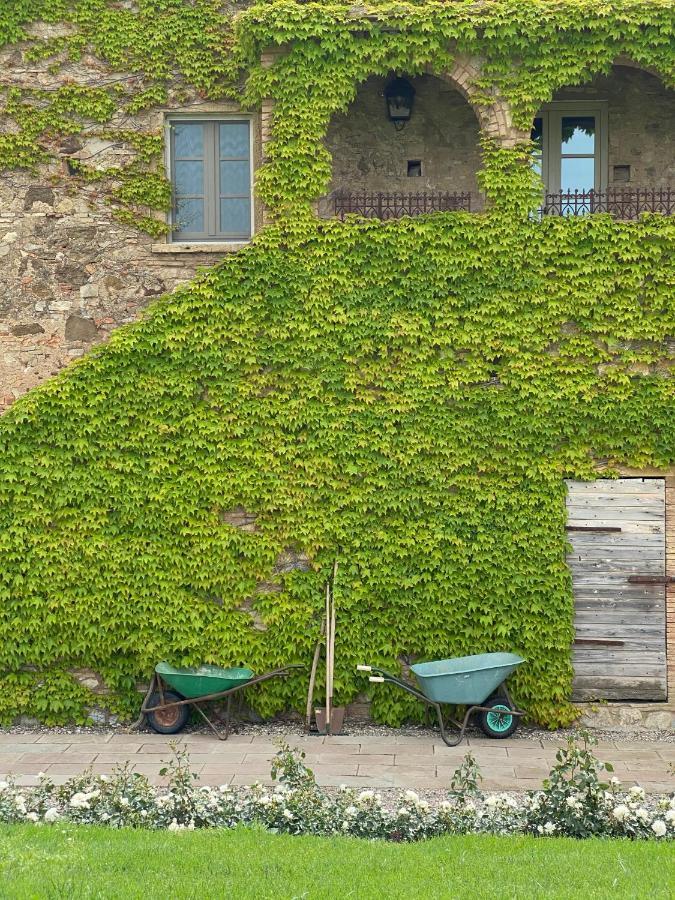 Relais Sant'Elena Bed & Breakfast Bibbona Bagian luar foto