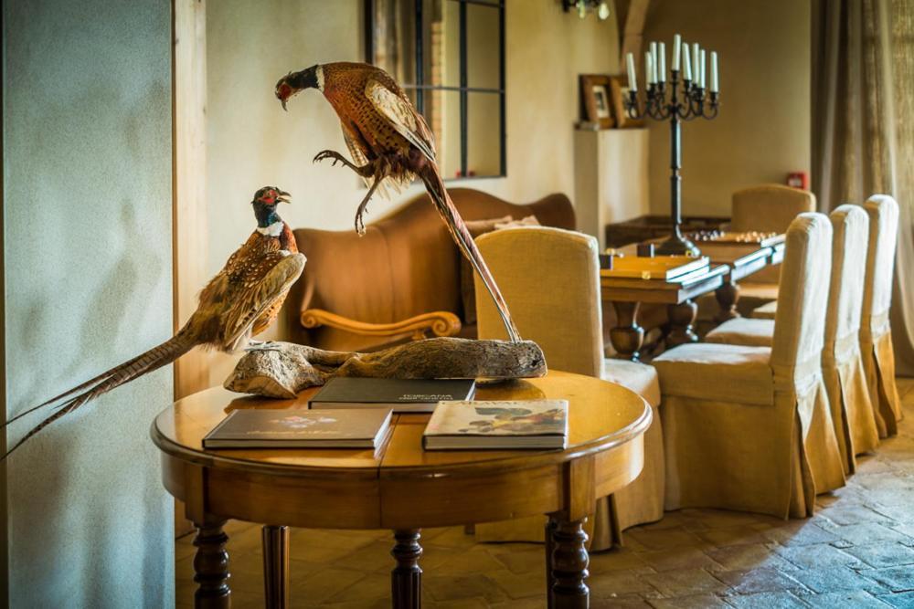 Relais Sant'Elena Bed & Breakfast Bibbona Bagian luar foto