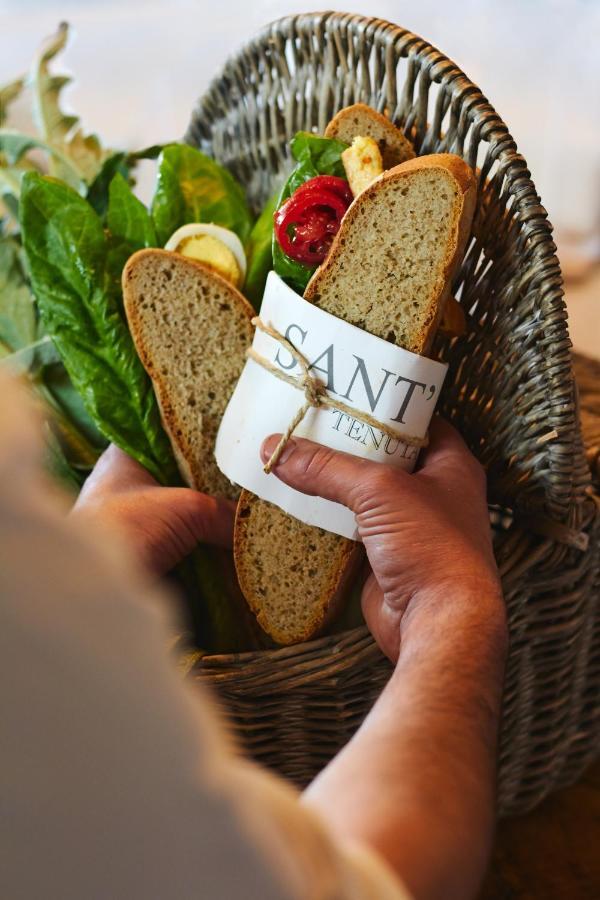Relais Sant'Elena Bed & Breakfast Bibbona Bagian luar foto