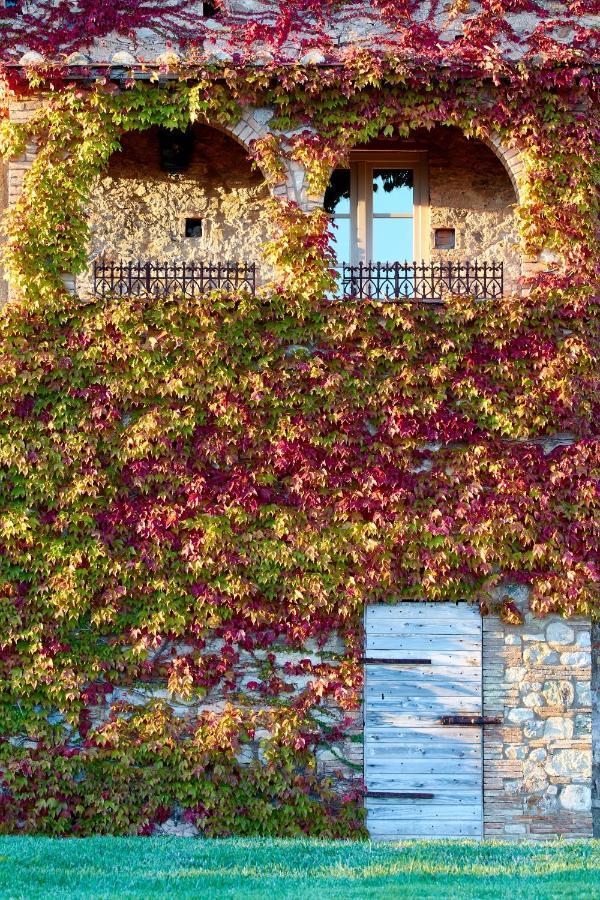 Relais Sant'Elena Bed & Breakfast Bibbona Bagian luar foto