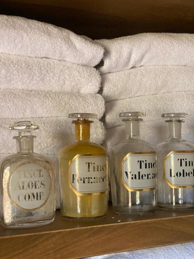 Relais Sant'Elena Bed & Breakfast Bibbona Bagian luar foto