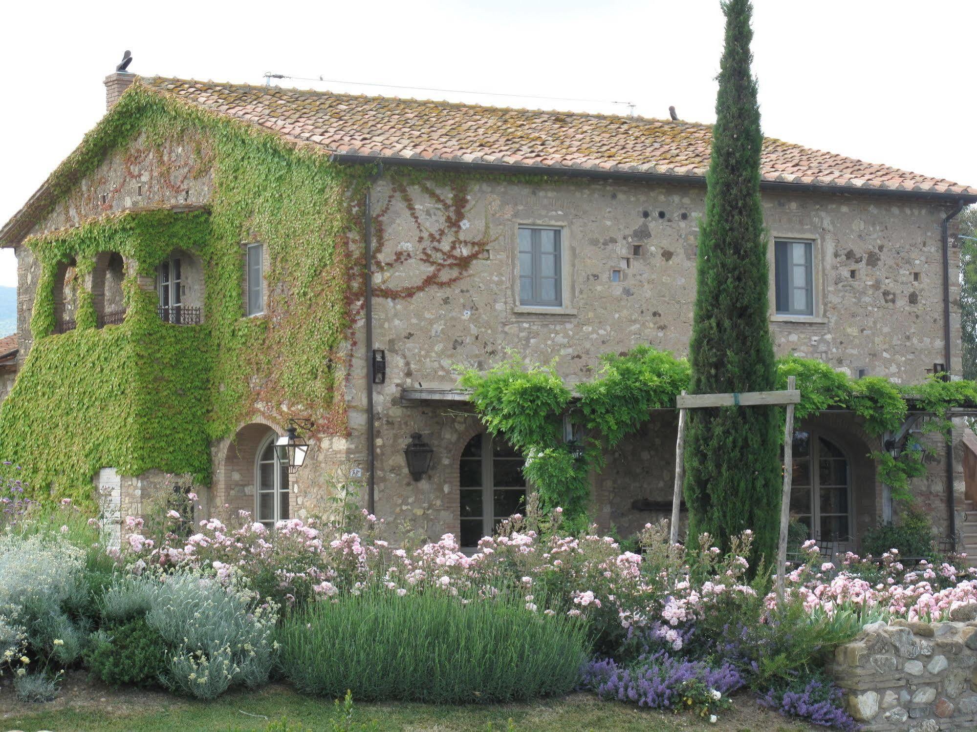 Relais Sant'Elena Bed & Breakfast Bibbona Bagian luar foto