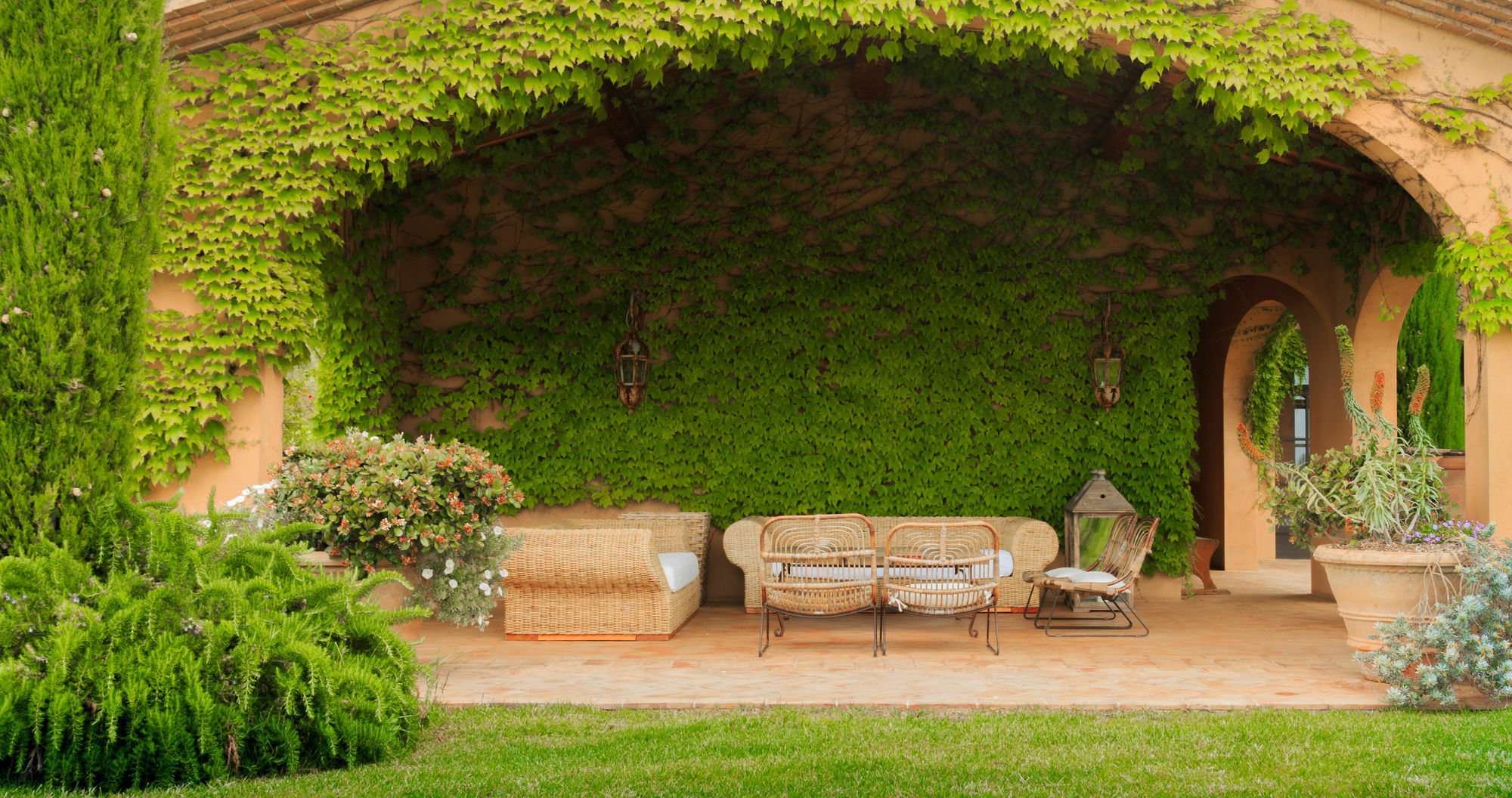 Relais Sant'Elena Bed & Breakfast Bibbona Bagian luar foto