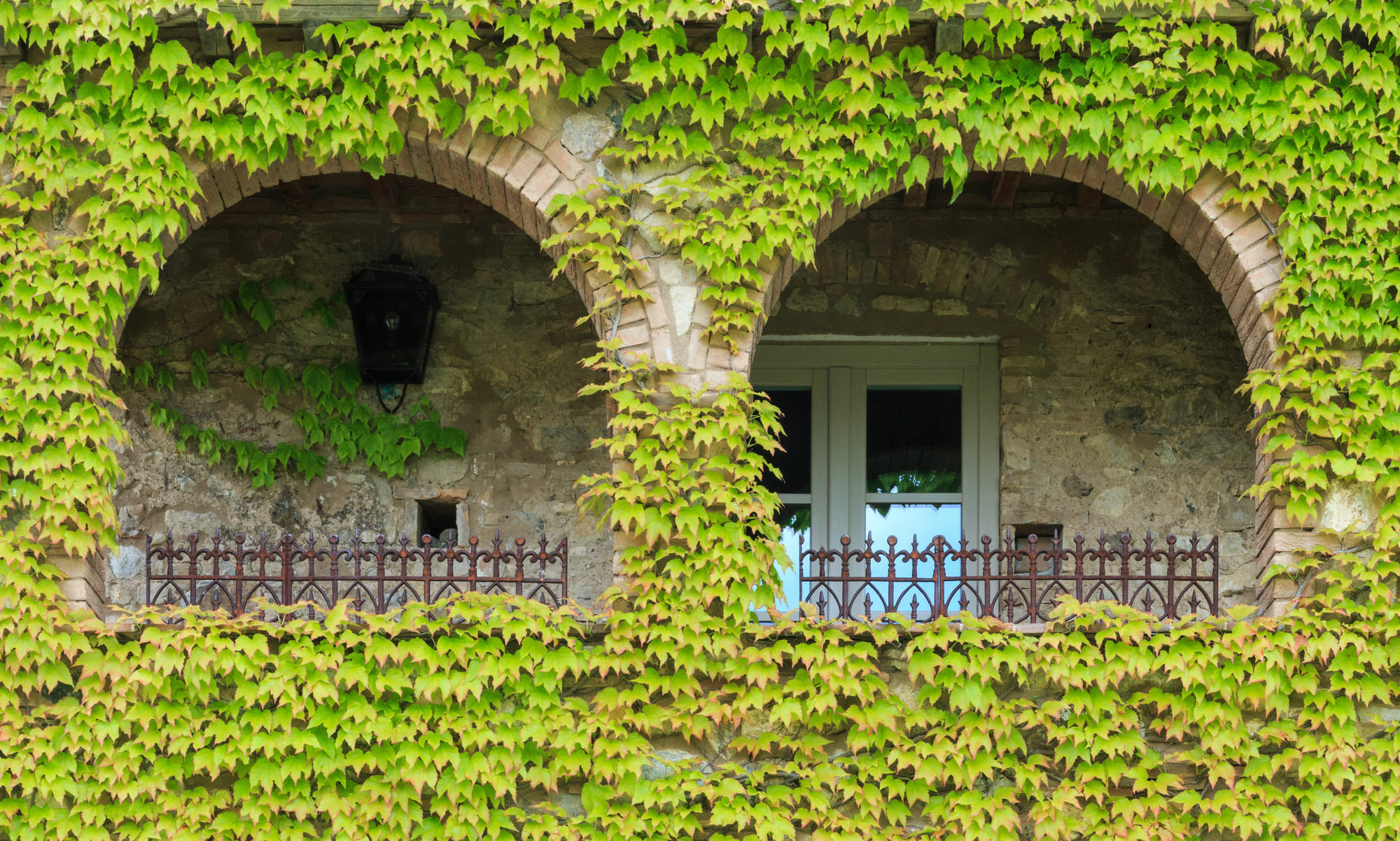 Relais Sant'Elena Bed & Breakfast Bibbona Bagian luar foto